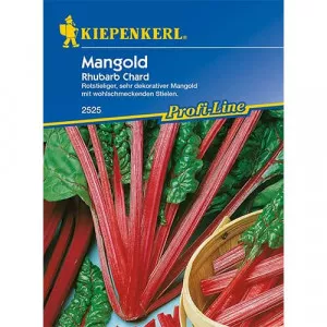 Mangold Rhubarbd Chard