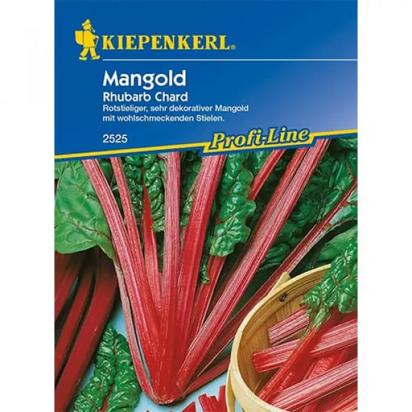 Mangold Rhubarbd Chard