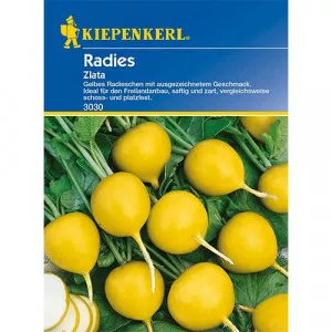 Retek Zlata