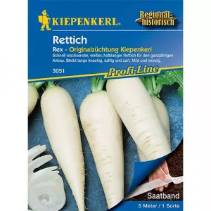 Retek Rex