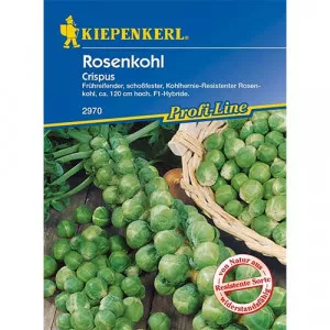 Kelbimbó Crispus