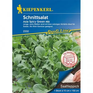 Saláta Asia Spicy Green, színkeverék