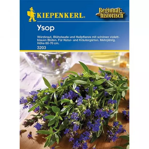 Izsóp évelő Izsóp évelő