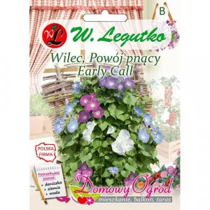 Early Call Hajnalka