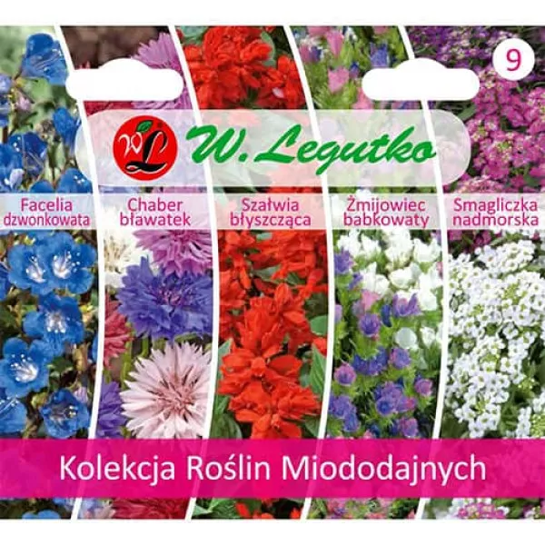 Egynyári virággyűjtemény méheknek, 5 fajtát tartalmazó csomag