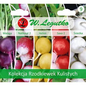Szines retek gyűjtemény, 5 fajtát tartalmazó csomag