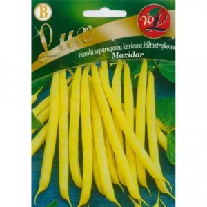 Törpe bab Maxidor