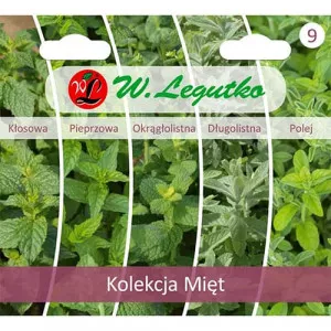 Menta gyűjtemény, 5 fajtát tartalmazó csomag