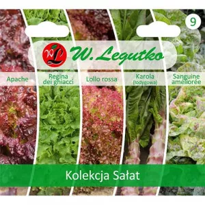 Zöldsaláta gyűjtemény, 5 fajtát tartalmazó csomag