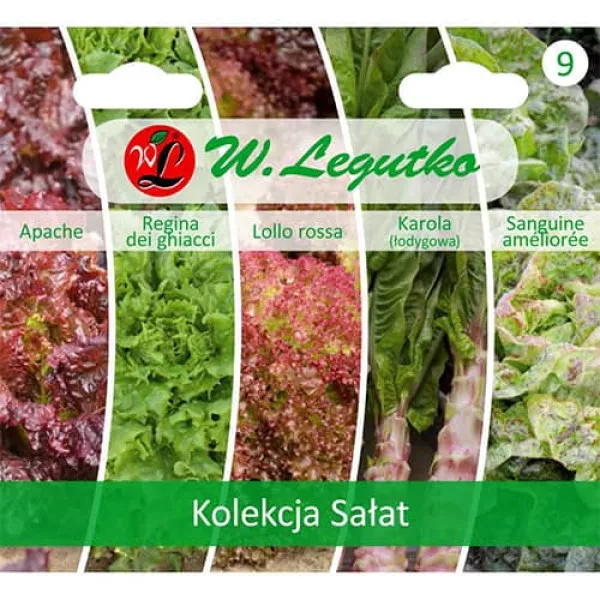 Zöldsaláta gyűjtemény, 5 fajtát tartalmazó csomag